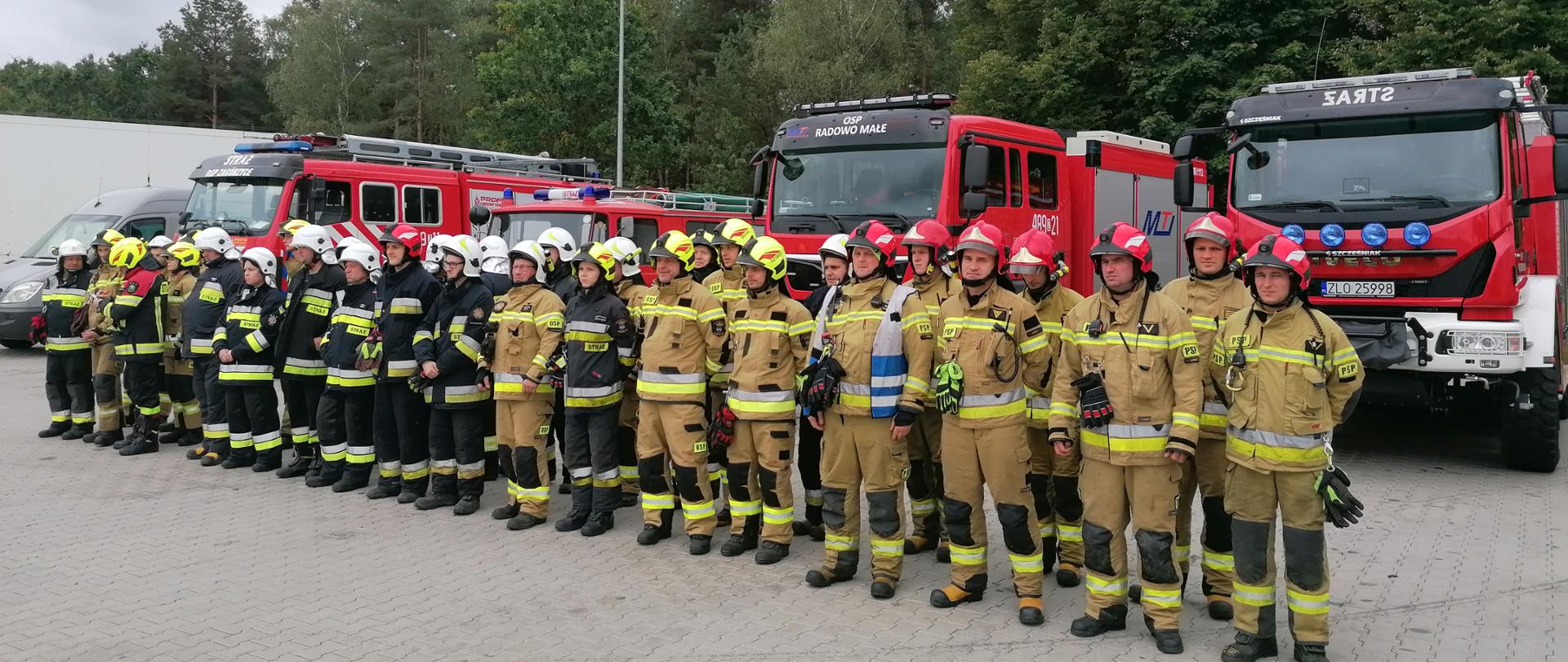 ĆWICZENIA DINO 2022