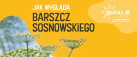 Barszcz Sosnowskiego - ulotka
