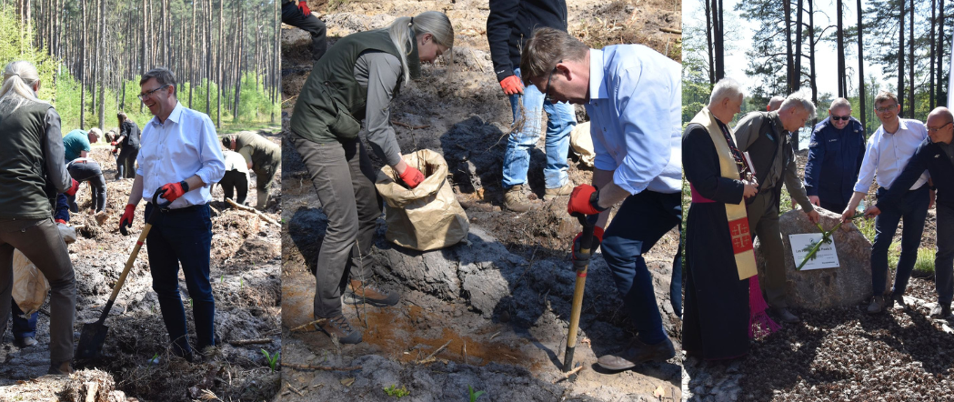 Wojewoda sadził las w Nadleśnictwie Korpele