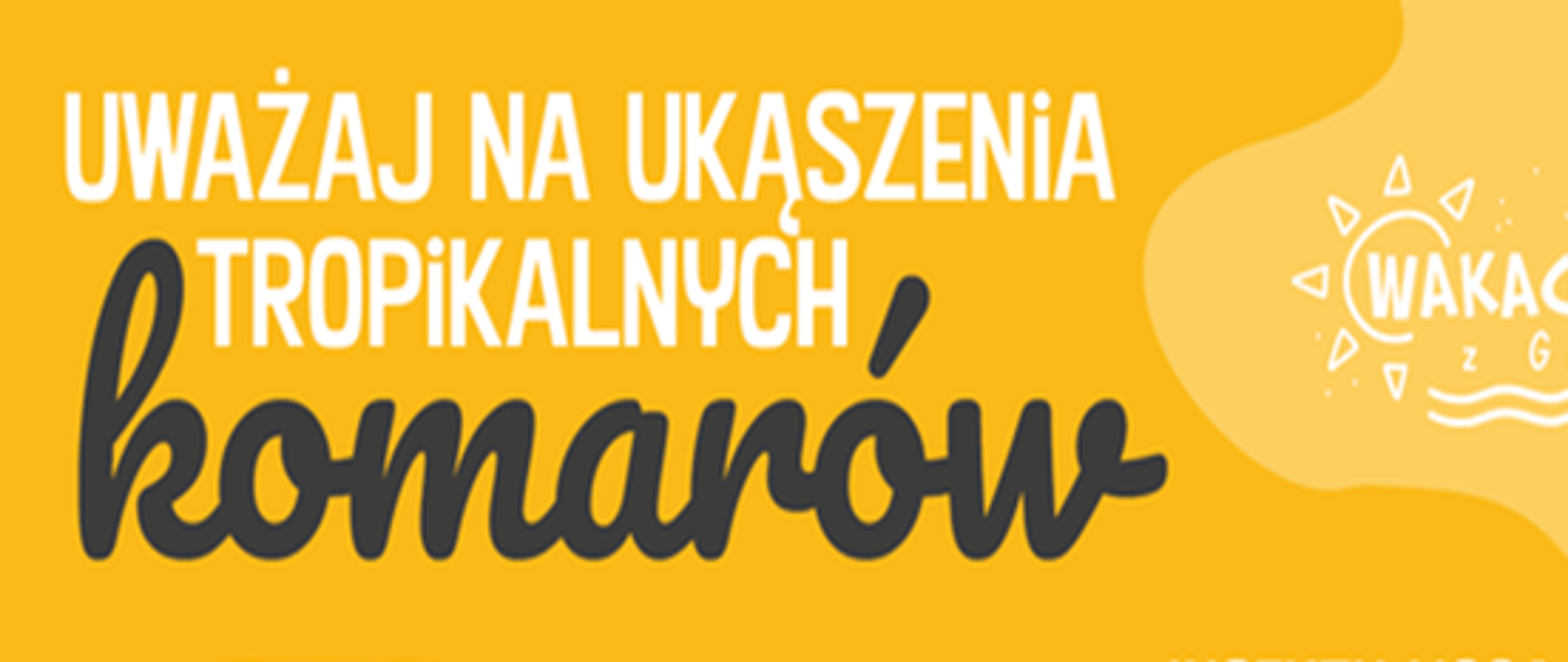 Uważaj na ukąszenia tropikalnych komarów