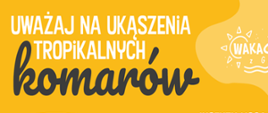 Uważaj na ukąszenia tropikalnych komarów