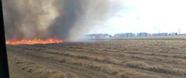Pożar podczas żniw w Grodzisku Wlkp.