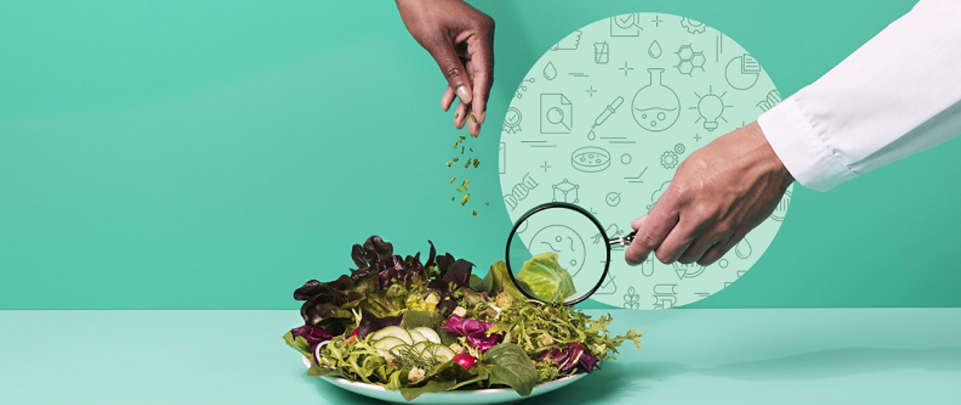 Zdjęcie przedstawia talerz pełen warzyw króre doprawiane są ziołami przez kucharza