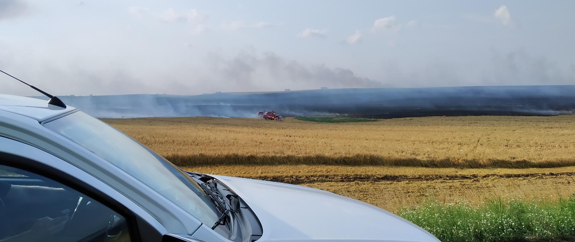 Zdjęcie przedstawia ujęcie łagodnego pagórka pola zboża. W górnej części pagórka zboże jest wypalone do ziemi, w dolnej części widoczne żółte łany, nad spaloną częścią unosi się dym. W lewym dolnym rogu kadru widoczny jest samochód operacyjny w kolorze białym, na polu w oddali widoczne czerwone samochody gaśnicze. Jest dzień, na niebie pojedyncze chmury, słonecznie.