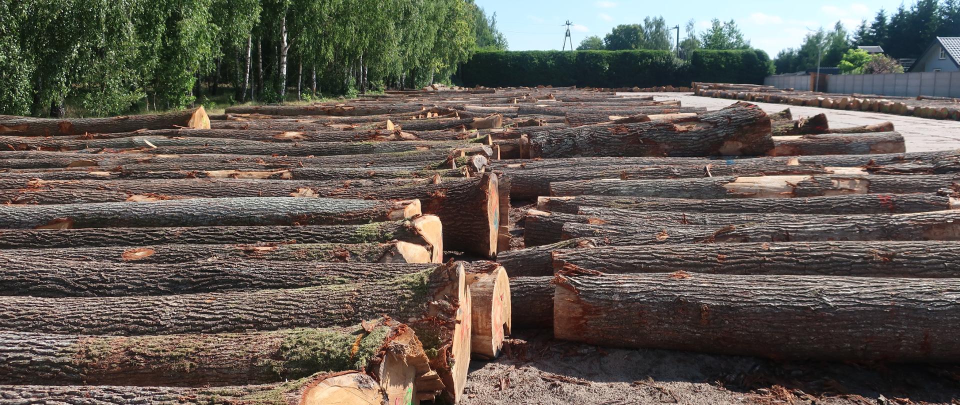 Zdjęcie WIORIN Lublin_drewno