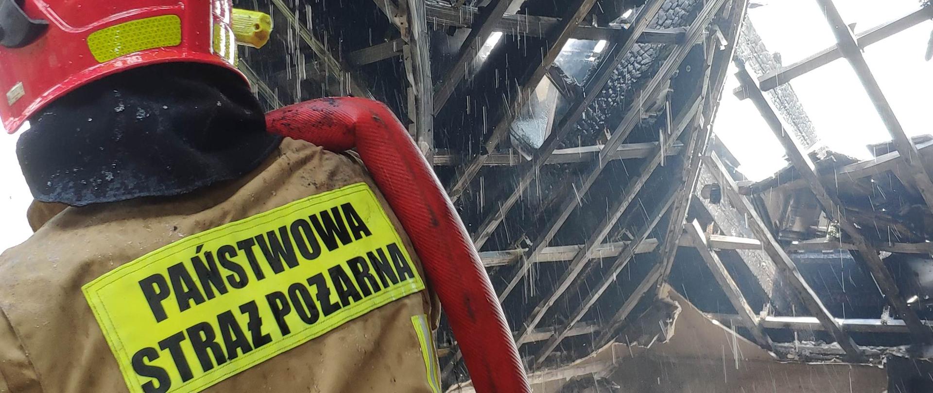 Zdjęcie przedstawia strażaka w jasnym stroju strażackim z czerwonym hełmem na głowie oraz czerwonym wężem pożarniczym przerzuconym przez ramię. Strażak znajduję się na poddaszu spalonego domu.