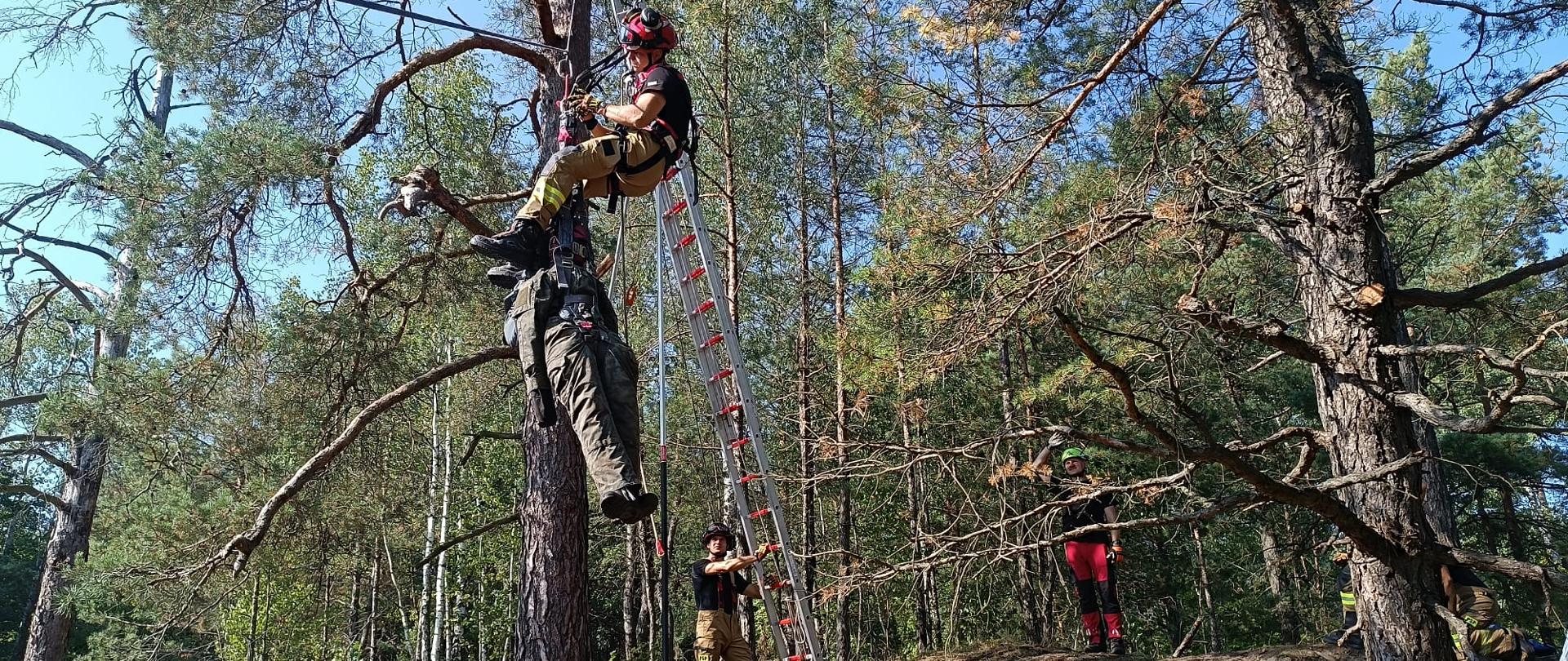 Warsztaty-ćwiczenia