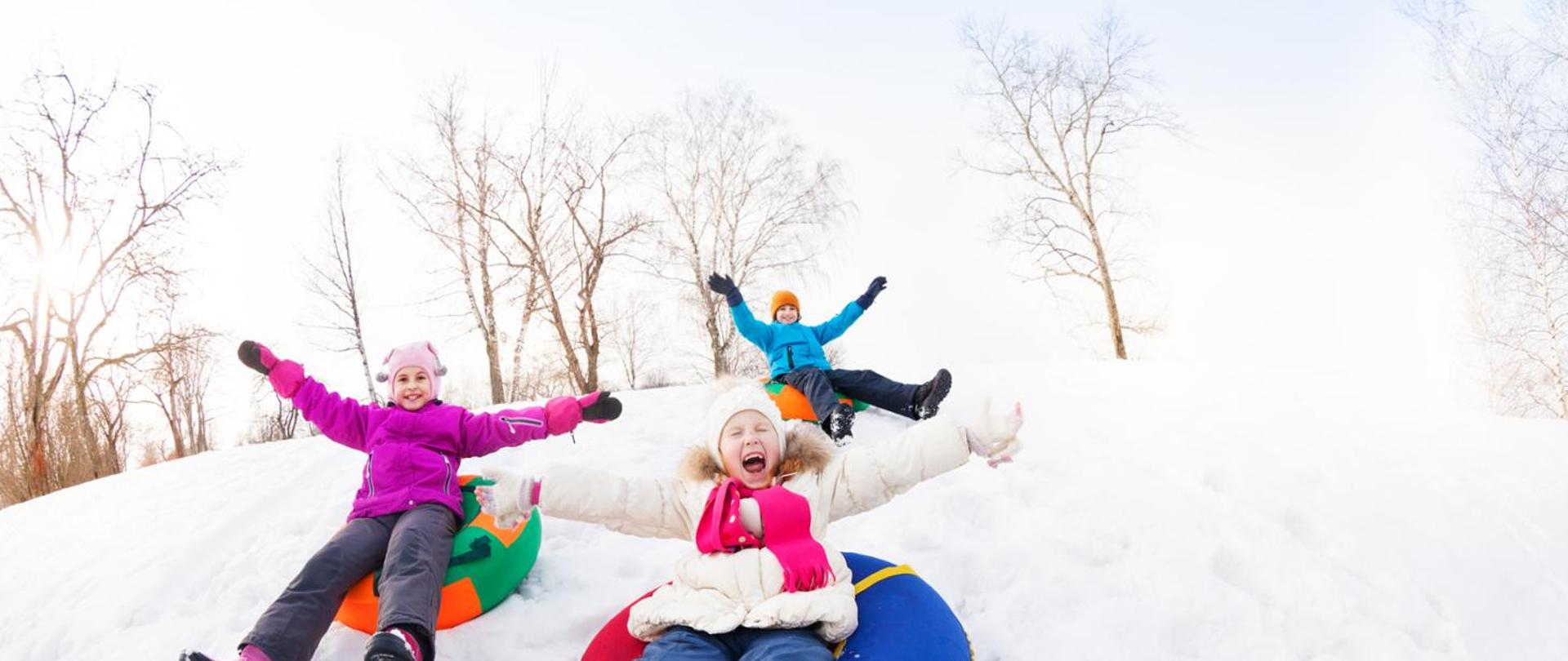 Excited group of children sliding down on the tubes together during beautiful winter day with trees trunks on the background