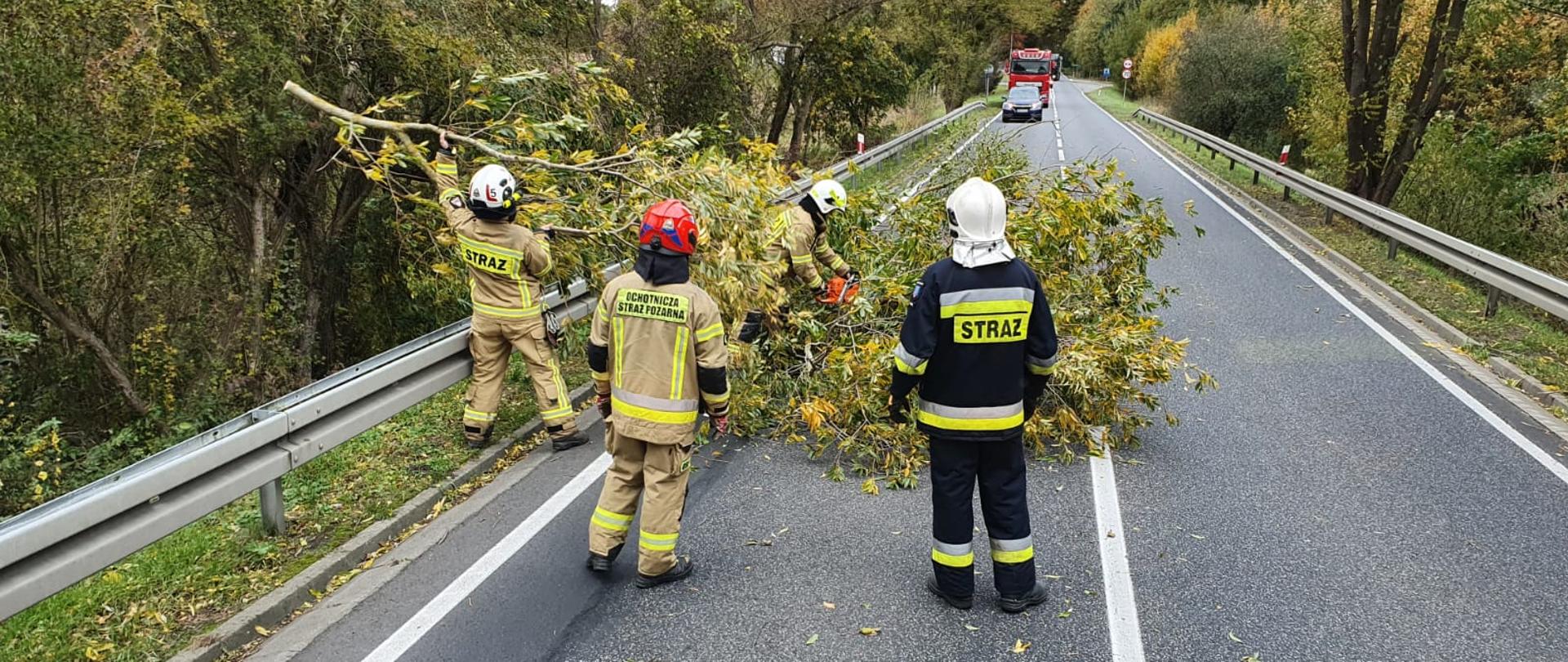 Zdjęcie przedstawia strażaków usuwających drzewo blokujące drogę