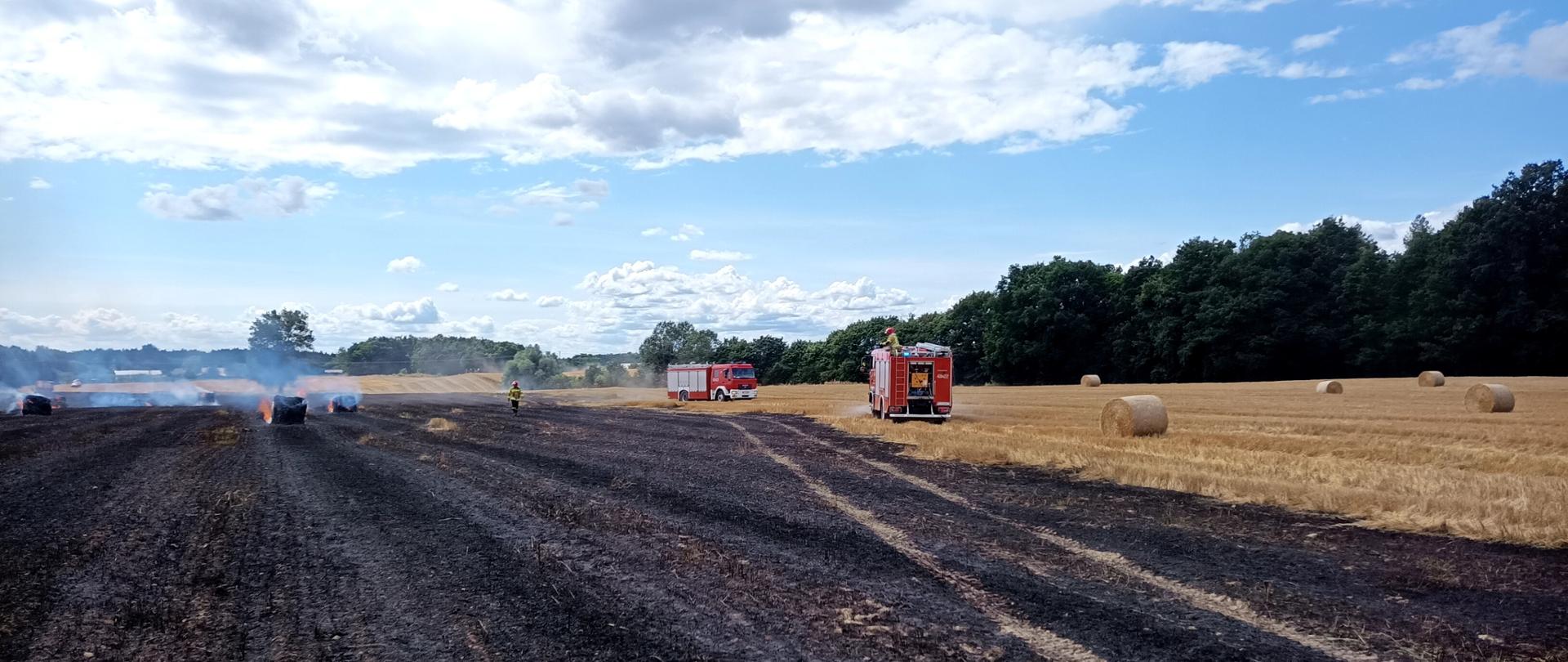 PODSUMOWANIE TYGODNIOWEJ DZIAŁALNOŚCI KOMENDY