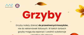 grzyby2