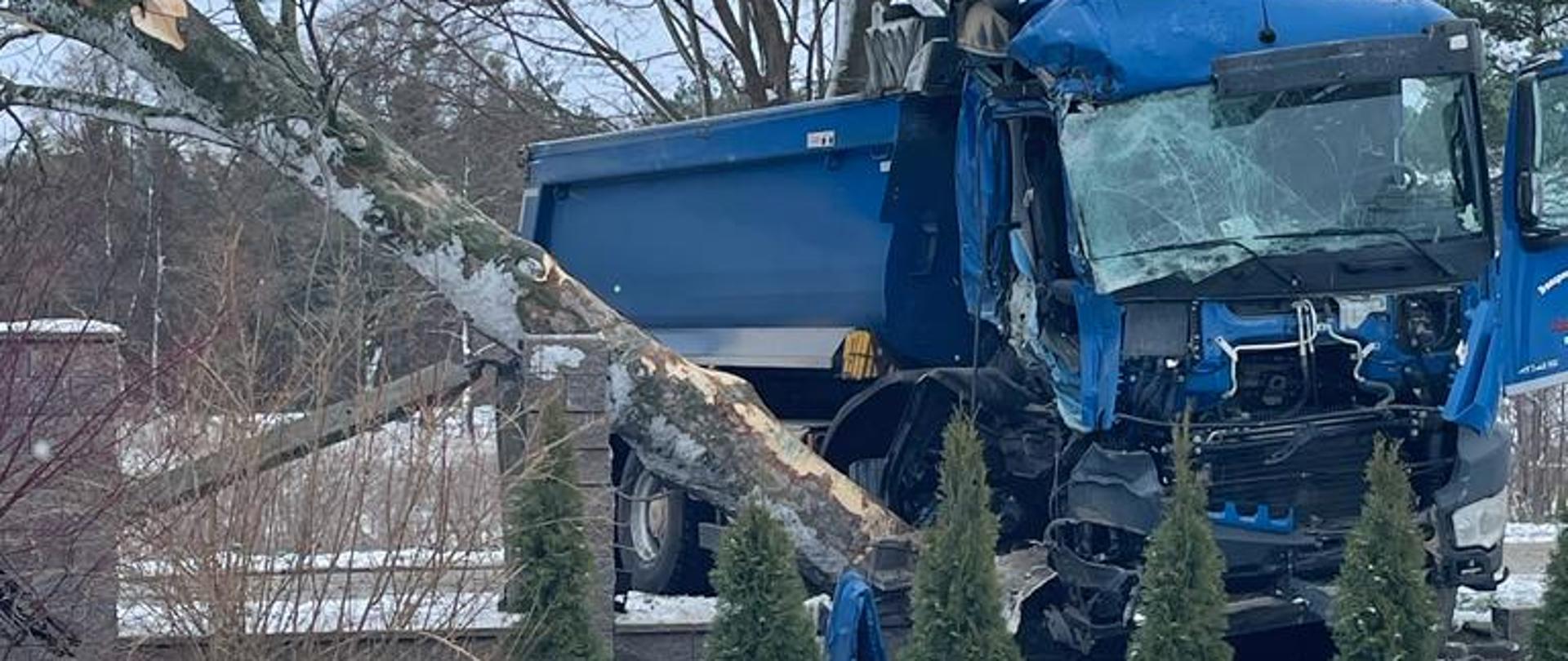 Uszkodzony przód samochodu ciężarowego. Z lewej strony przewrócony pień drzewa.