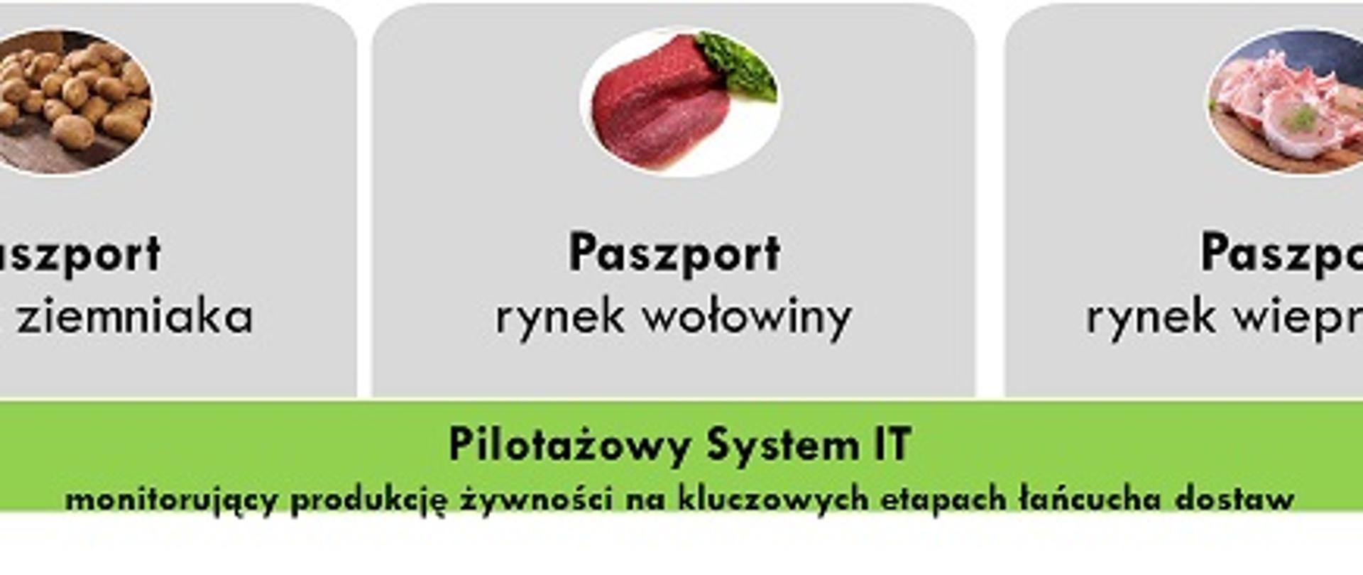 Paszporyzacja_pilotażowy_system IT