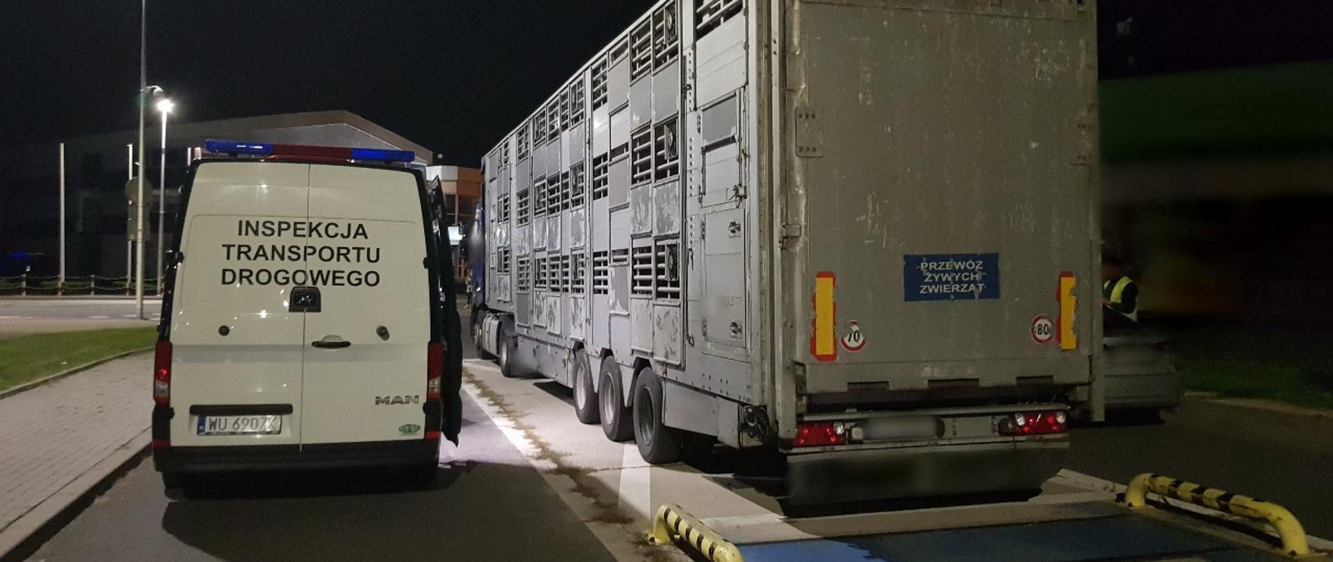 Miejsce nocnych kontroli ciężarówek w Piotrkowie Trybunalskim. Za inspekcyjną wagą stoi zestaw przewożący świnie.