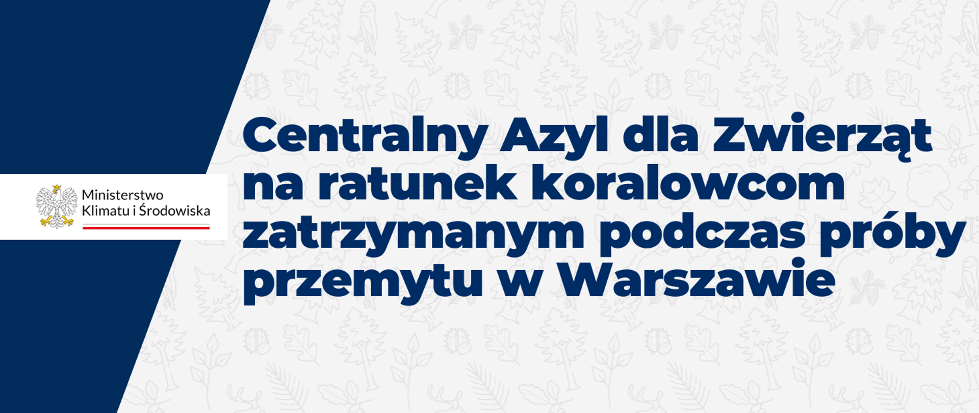 Centralny Azyl dla Zwierząt na ratunek koralowcom zatrzymanym podczas próby przemytu w Warszawie