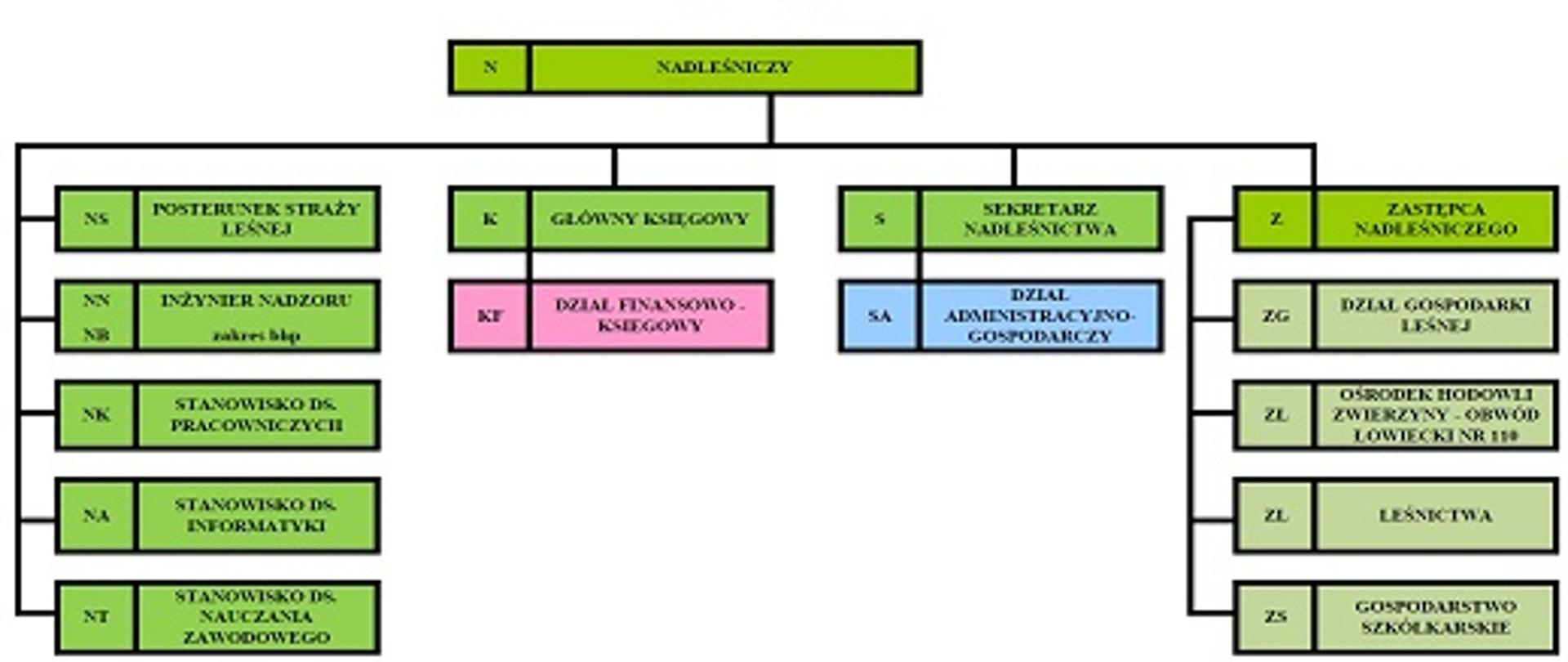 Schemat struktury organizacyjnej Nadleśnictwa Babimost
