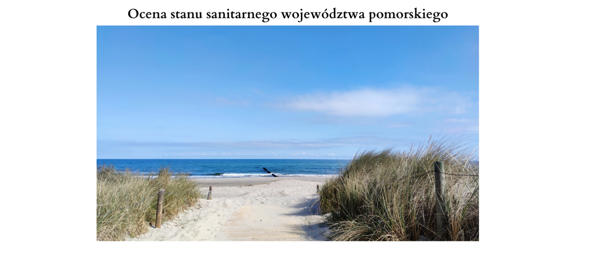 Ocena stanu sanitarnego