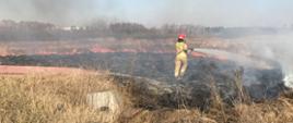 Na zdjęciu widoczny jest pożar trawy oraz strażak trzymający w dłoniach prądownice w trakcie gaszenia pożaru trawy.