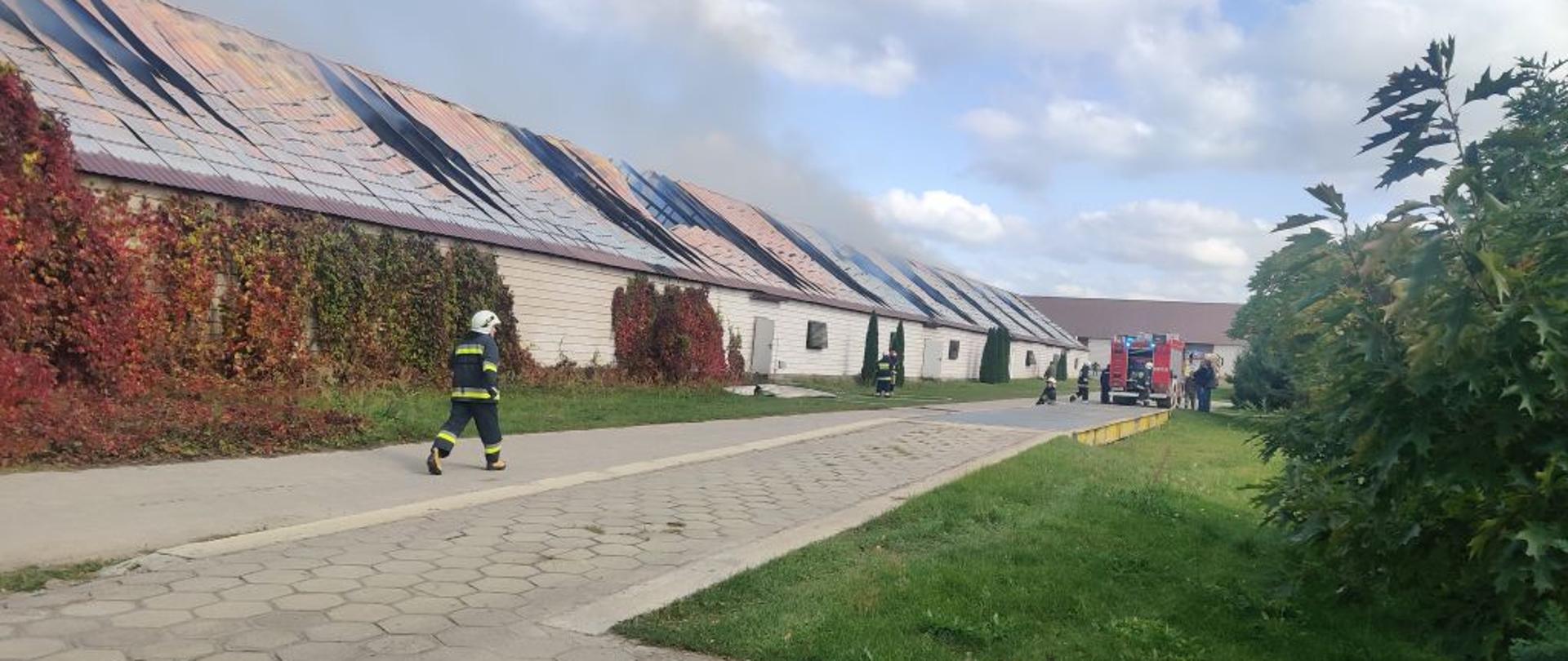 Długi murowany budynek z białej cegły dach poprzepalany. W oddali czerwony strażacki wóz bojowy. W centrum biegnie strażak w ciemnym mundurze bojowym.