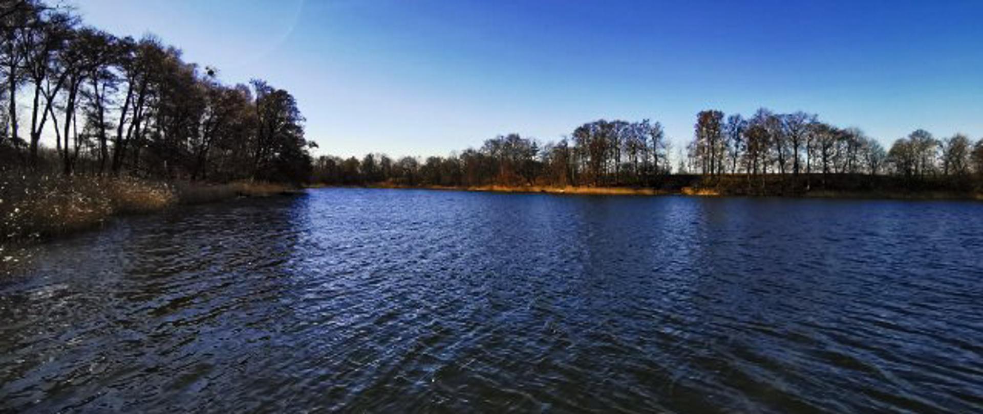 Zdjęcie wykonane w dzień przy bezchmurnym niebie pokazuje jezioro. W tle znajdują się trzciny oraz drzewa.