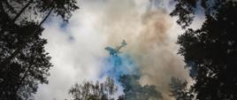 Działania gaśnicze wspierał samolot PZL M18 Dromader Lasów Państwowych