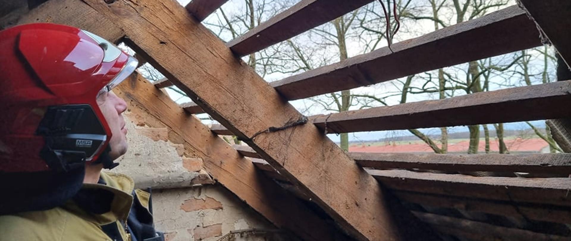 Skutki orkanu Dudley. Poddasze budynku w Dąbrówce. Wiatr zerwał pokrycie w postaci płyt eternitowych. Na poddaszu stoi strażak w czerwonym hełmie, który ogląda zniszczenia. Przez otwór w dachu widać rosnące drzewa.