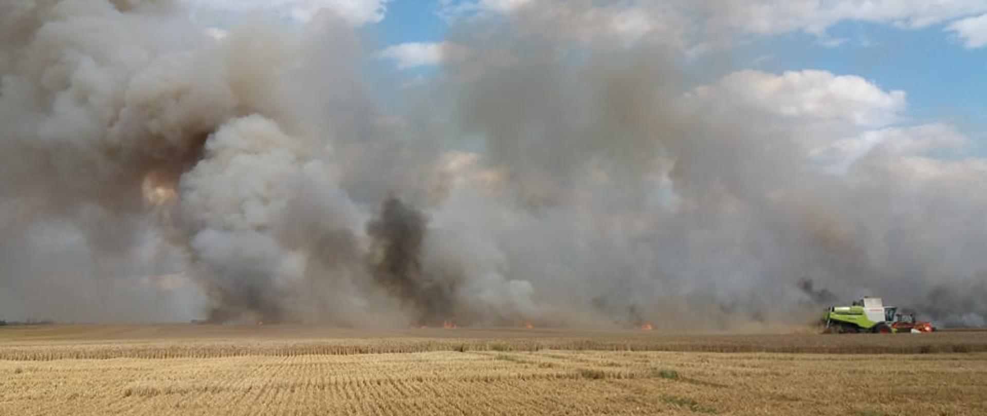 pożar zboża