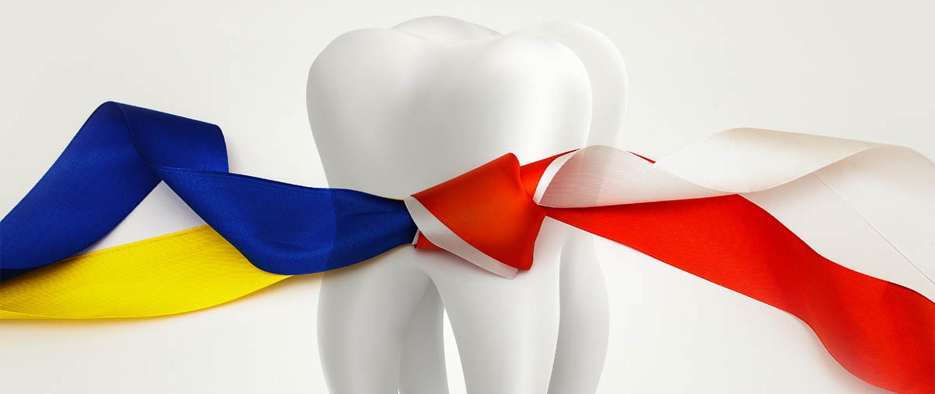 Two flags tied to a knot against the background of a green military ammunition box The conflict between Ukraine and Poland.