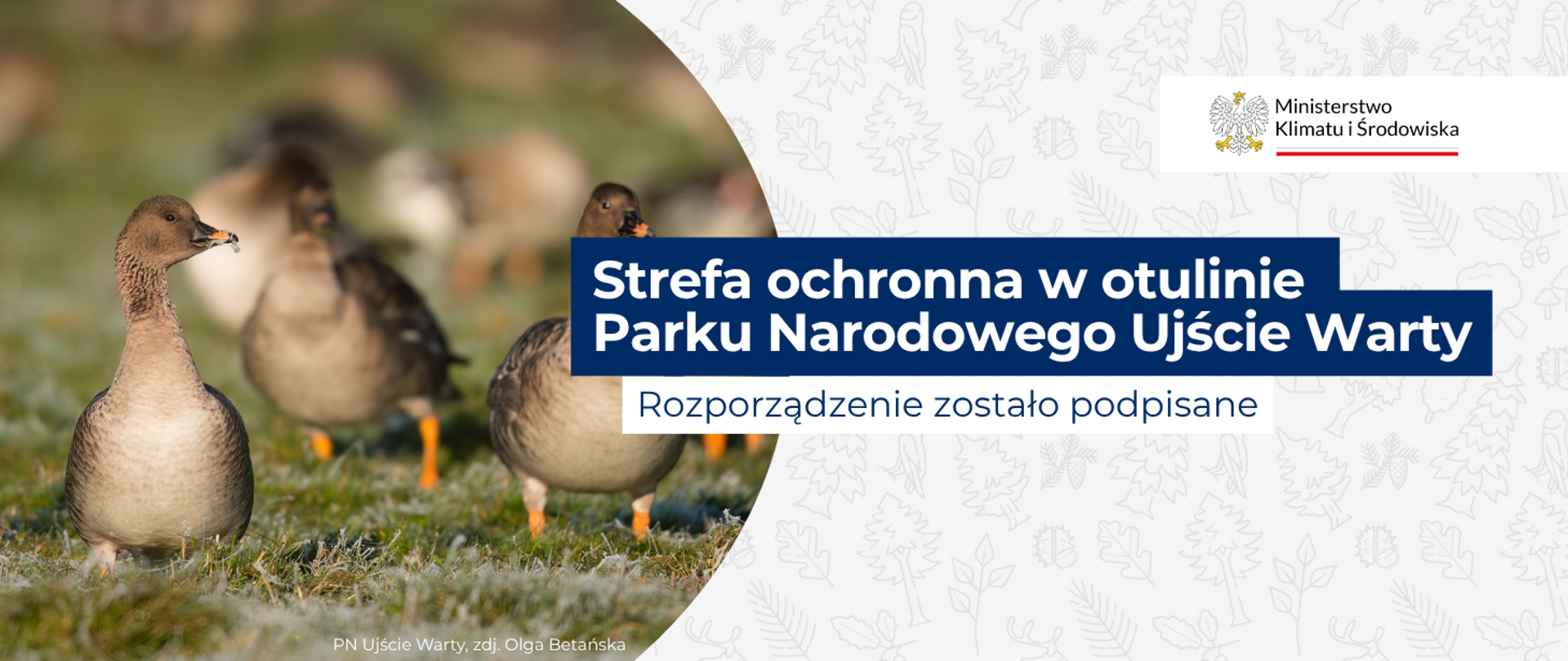 Strefa ochronna w otulinie PN Ujście Warty
