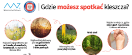 Gdzie_możesz_spotkać_kleszcza_TT