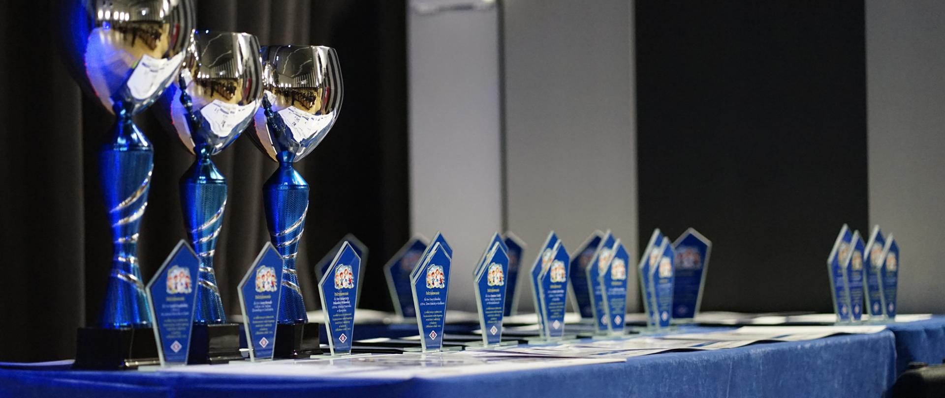 Na zdjęciu znajdują się nagrody - puchary oraz statuetki 