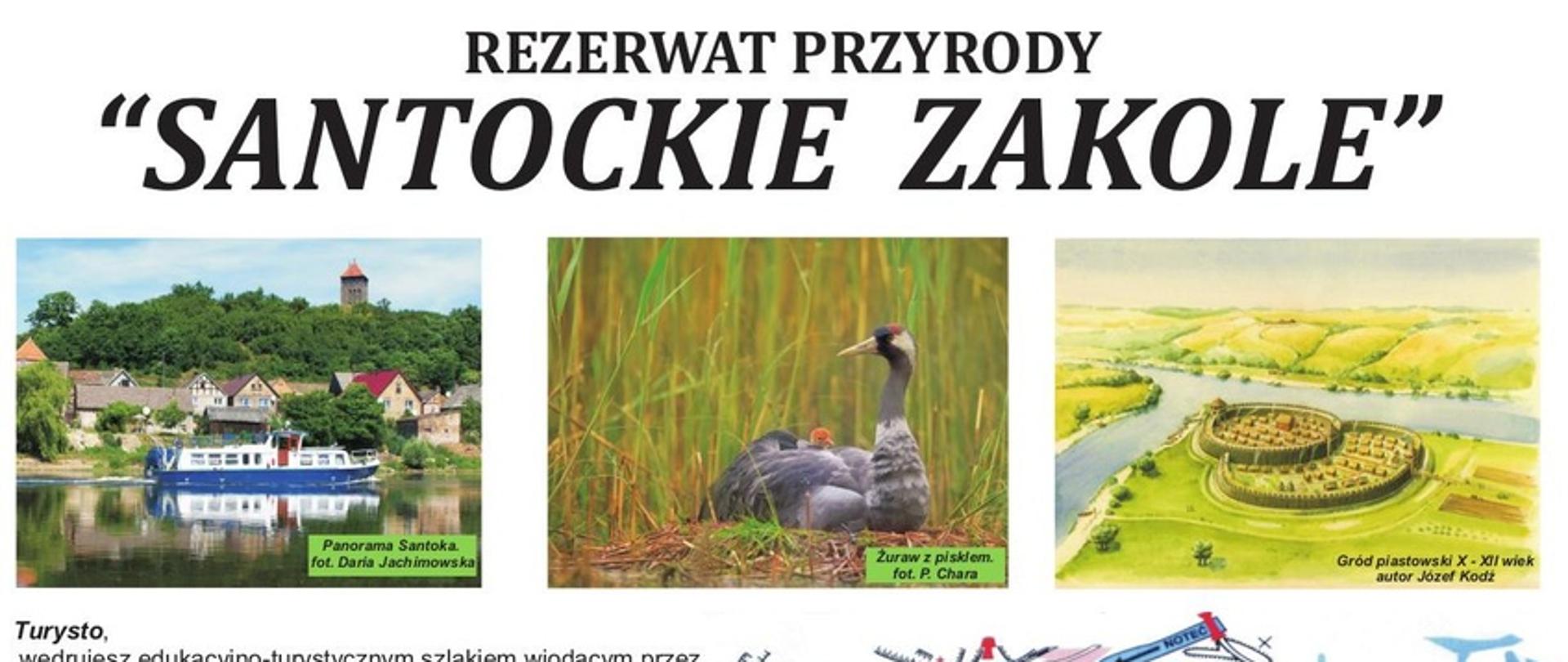 Rezerwat przyrody "Santockie Zakole" –malownicze miejsce, które warto odwiedzić 