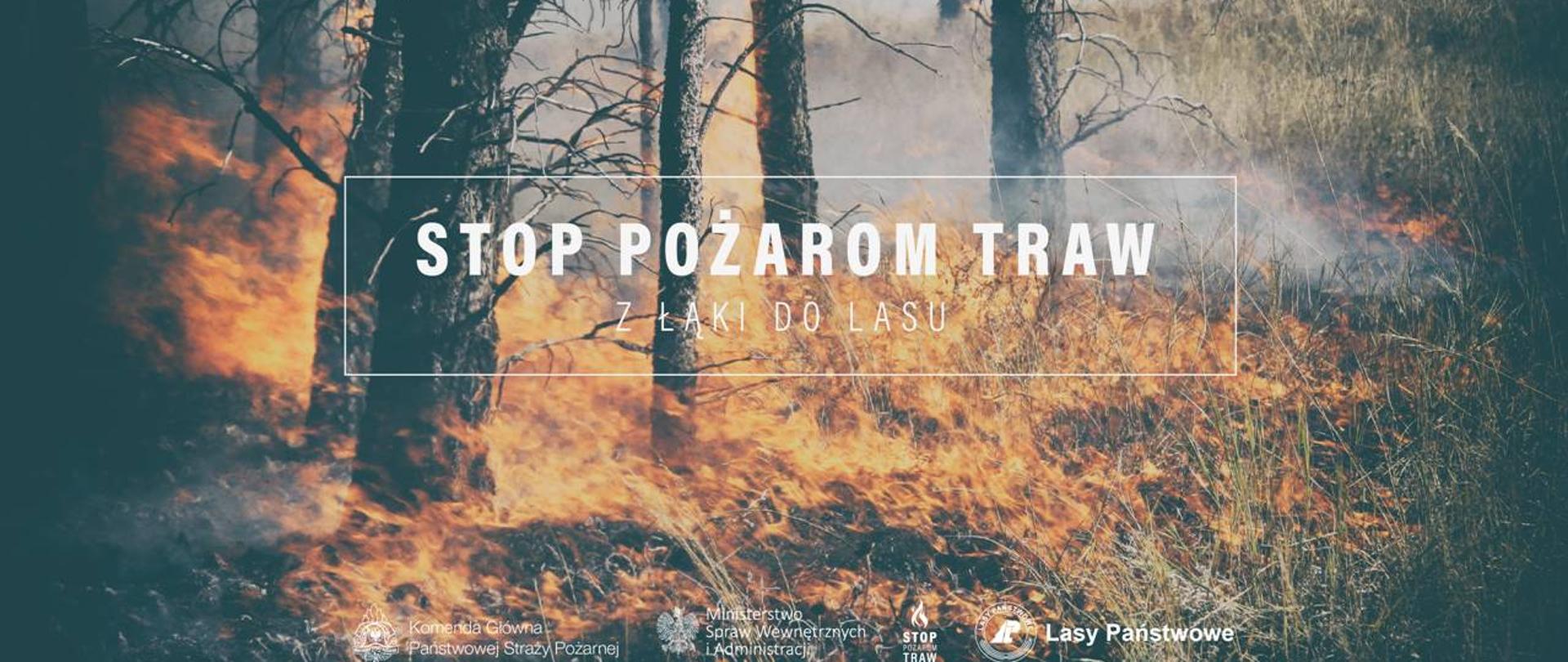 Na zdjęciu widać pożar trawy oraz drzewa