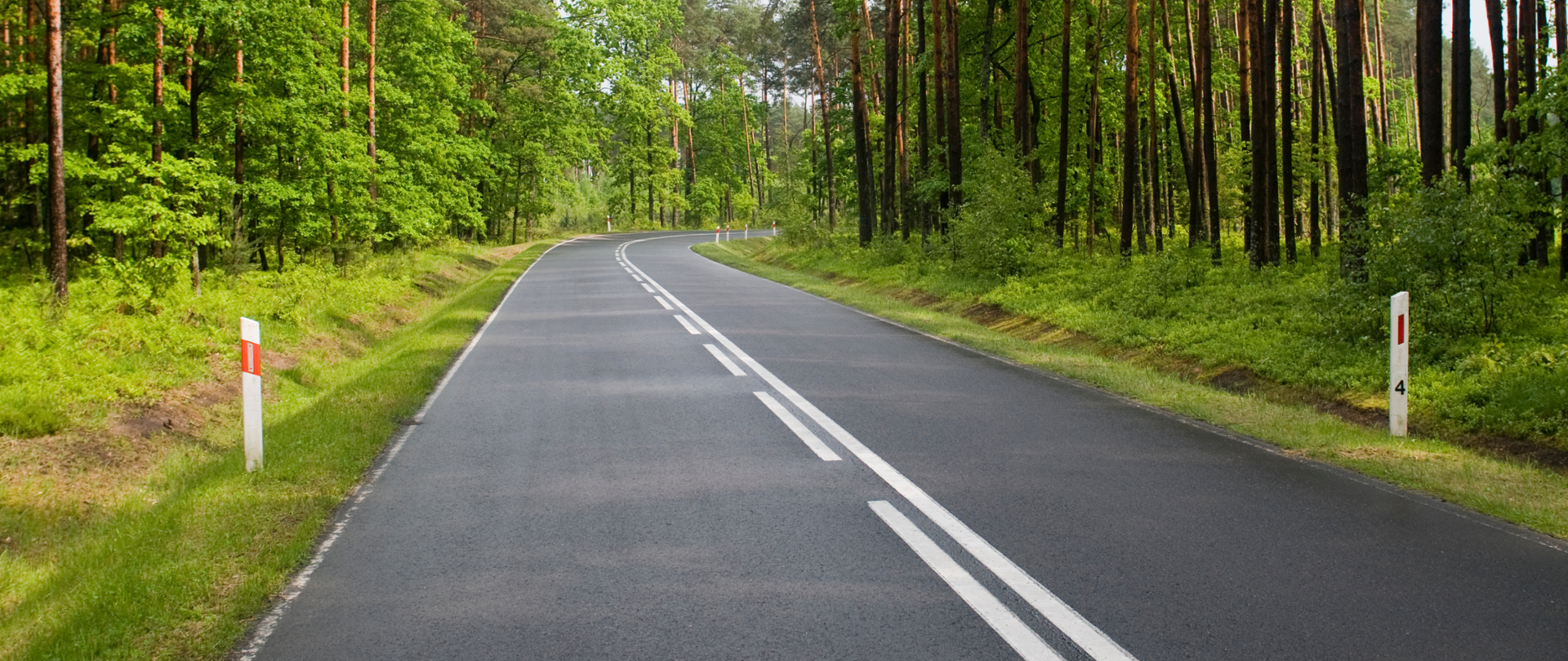Na zdjęciu widać drogę