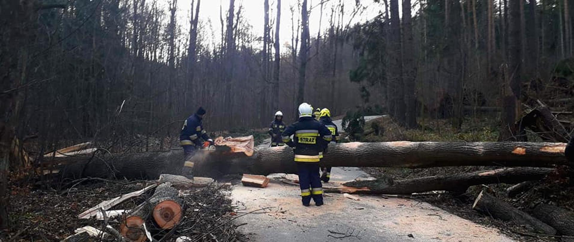 Obraz przedstawia strażaków tnących powalone drzewo za pomocą piły łańcuchowej.
