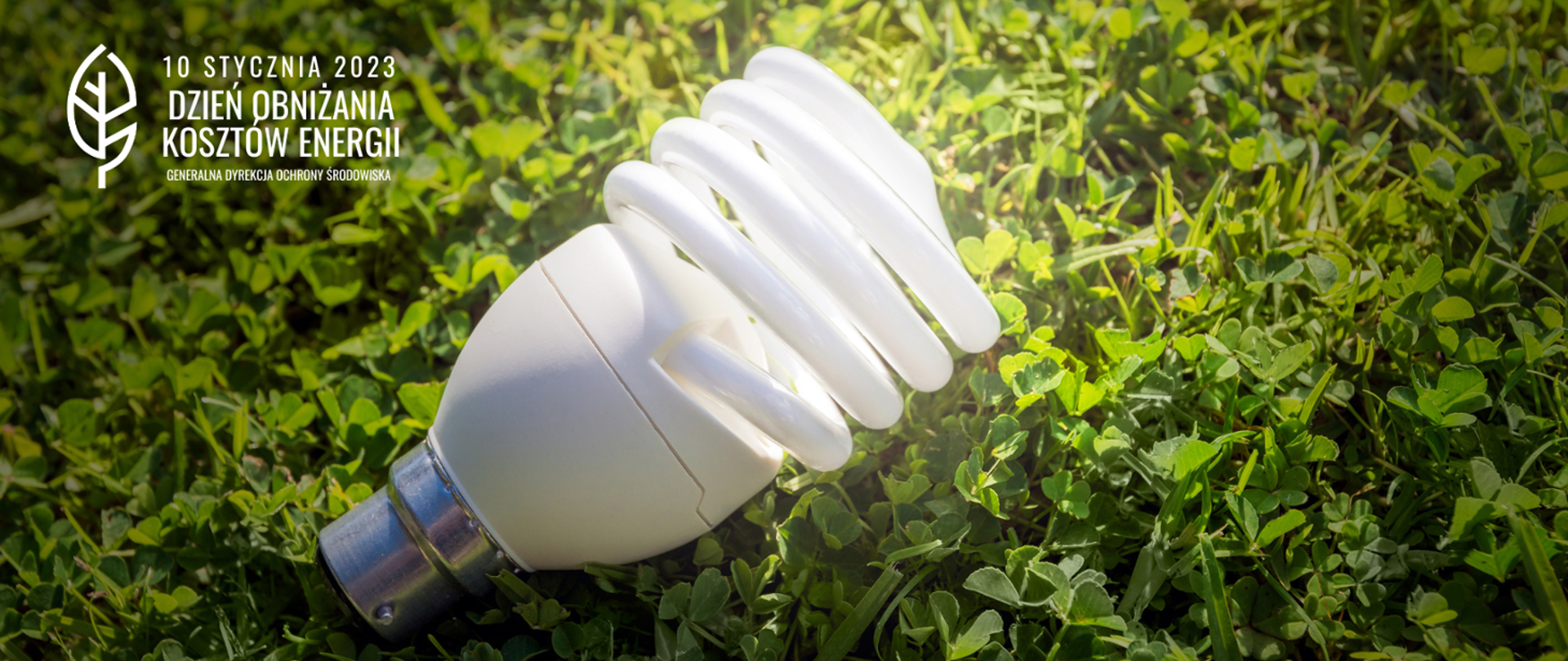 Na zielonej trawie leży biała żarówka. W prawym górnym rogu logo GDOŚ i napis: 10 stycznia Dzień Obniżania Kosztów Energii. 