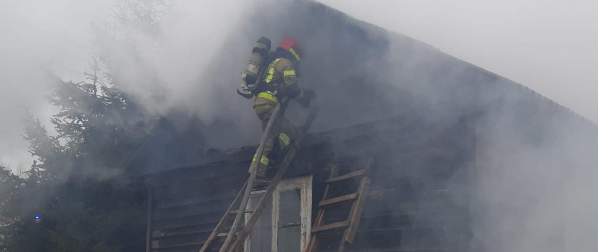 pożar domu drewnianego w Gminie Garbatka Letnisko, strażak na drabinie gasi pożar poddasza asekurowany przez drugiego strażaka