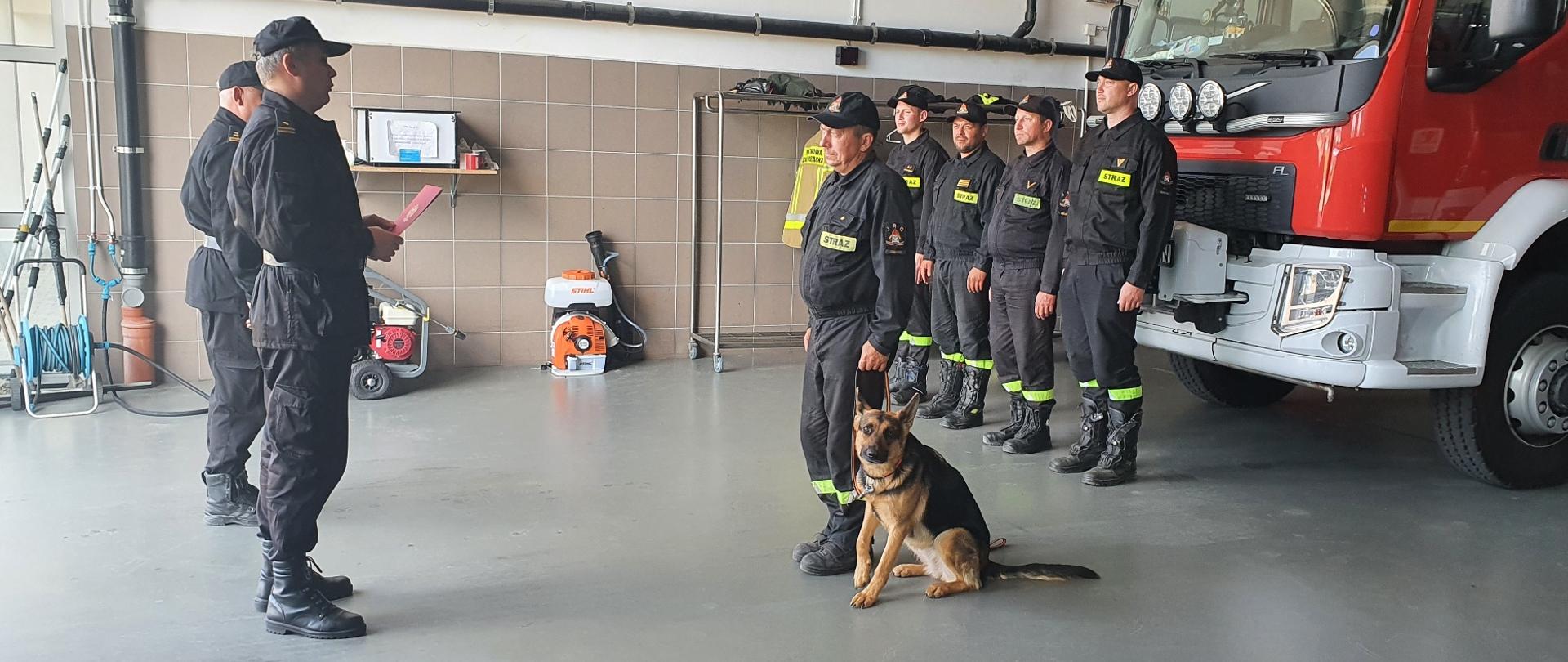 Po lewej stronie stoją Komendaci, po prawej strażacy. Przed strażakami wraz z psem ratowniczym stoi nagradzany strażak.