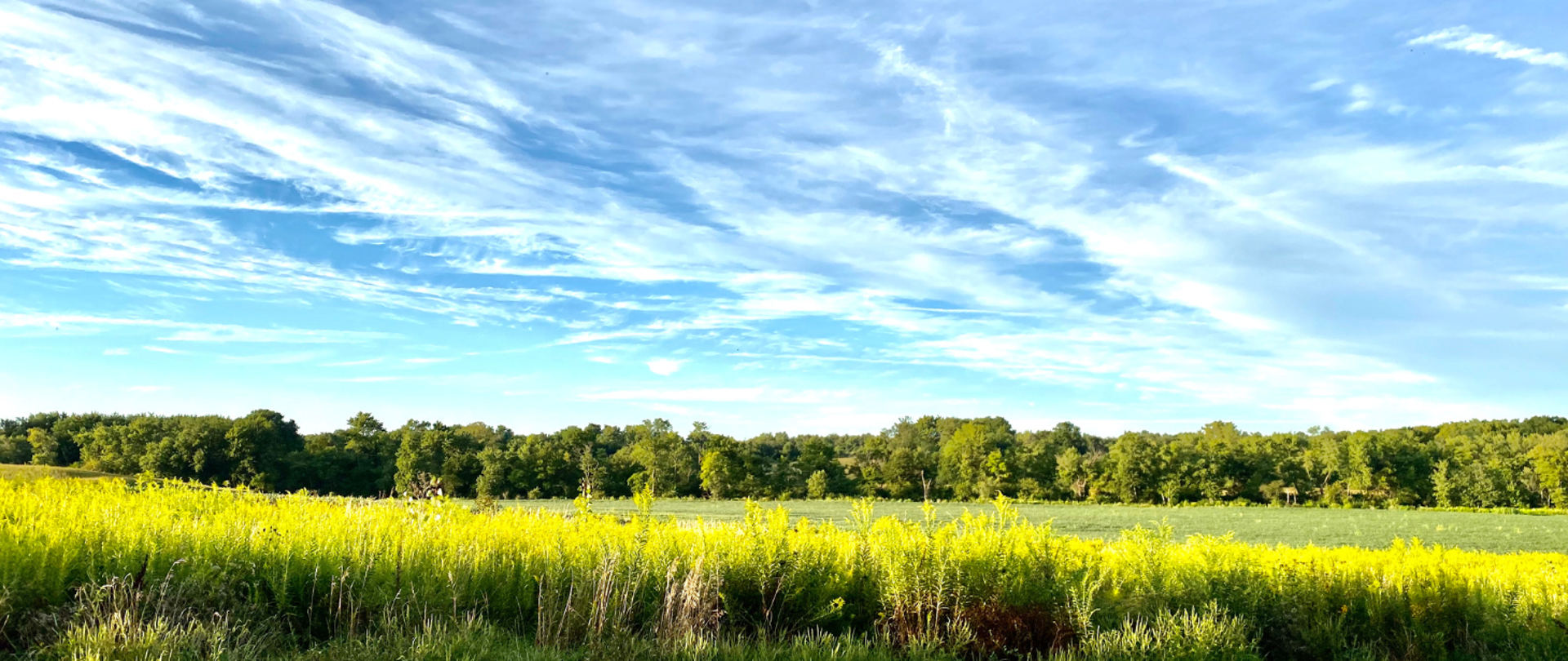 Łąka i świeże, czyste powietrze 