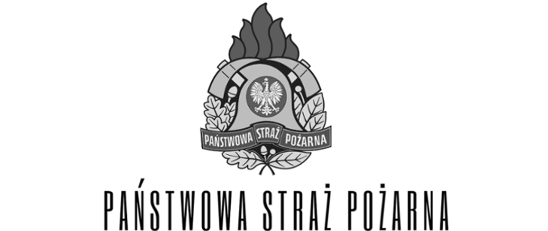 Napis czarny na białym tle Państwowa Straż Pożarna wraz z logotypem. 
