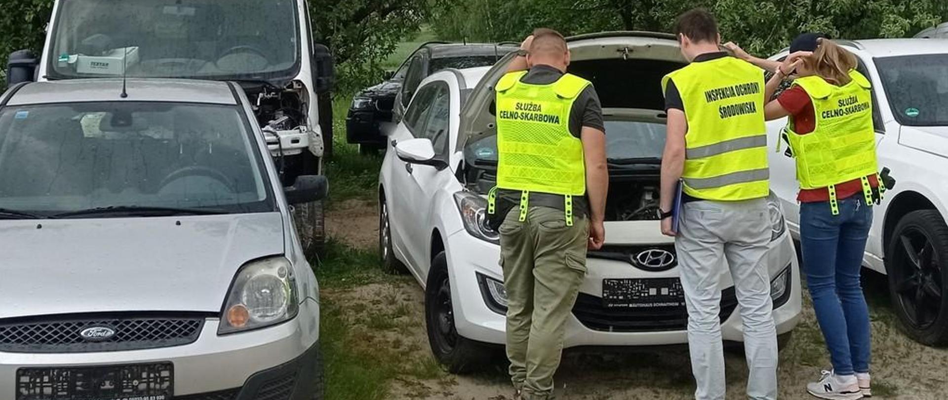 Widoczne trzy osoby (dwóch mężczyzn i kobieta) odwróconych plecami, którzy spoglądają na maskę samochodu. Na tle znajdują się inne auta.