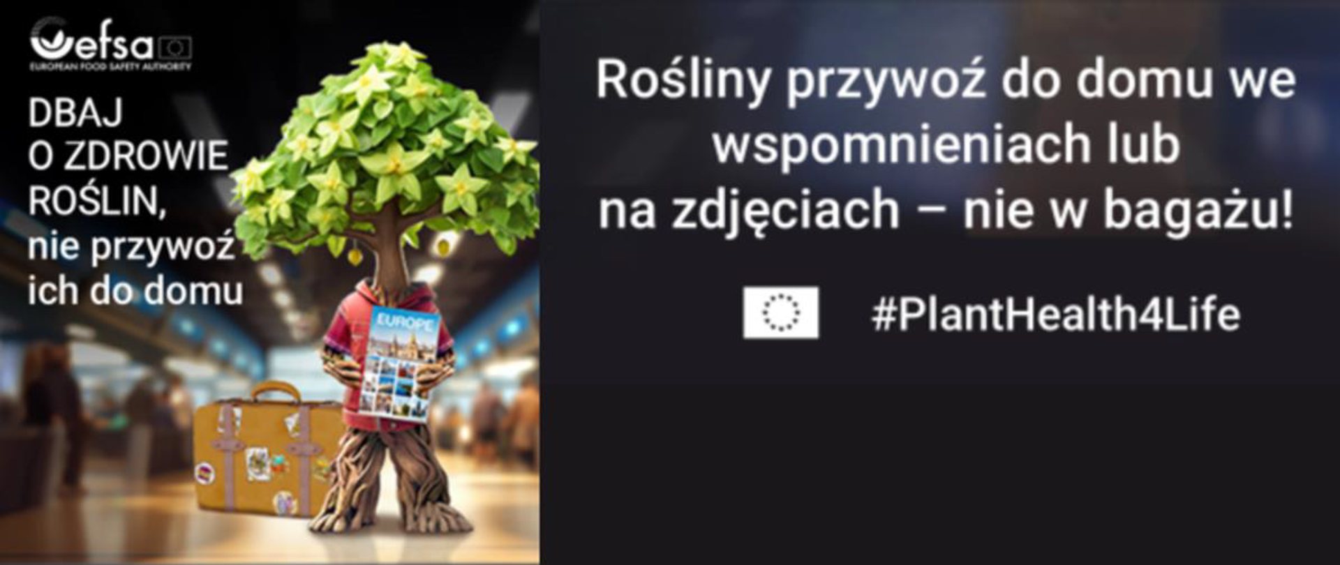 podróżujesz_poza_granice_UE3
