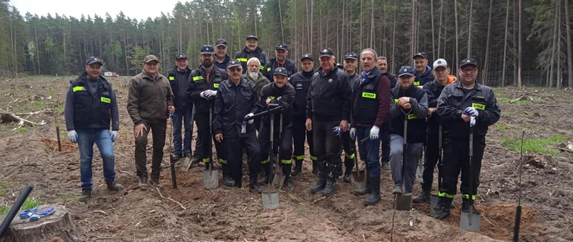 wspólne sadzenie lasu pracowników Nadleśnictwa Głęboki Bród z druhami powiatu sejneńskiego