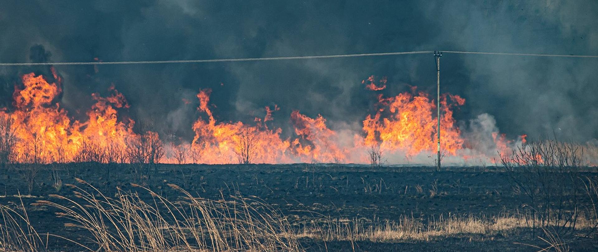 Zdjęcie pożaru nieużytków i przebiegająca linia średniego napięcia