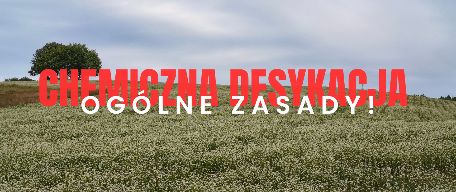 Chemiczna desykacja – ogólne zasady!