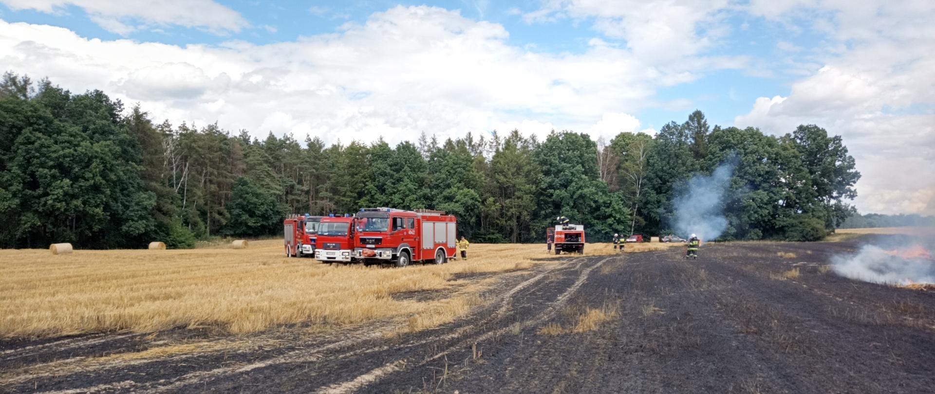PODSUMOWANIE TYGODNIOWEJ DZIAŁALNOŚCI KOMENDY