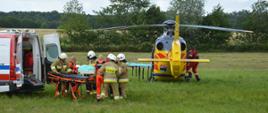 Zderzenie aut na skrzyżowaniu. Łąka w pobliżu miejsca wypadku. Na niej śmigłowiec LPR i ambulans. Pięciu strażaków w białych hełmach wraz z ratownikami medycznymi transportuje poszkodowaną z karetki do śmigłowca. W tle drzewa.