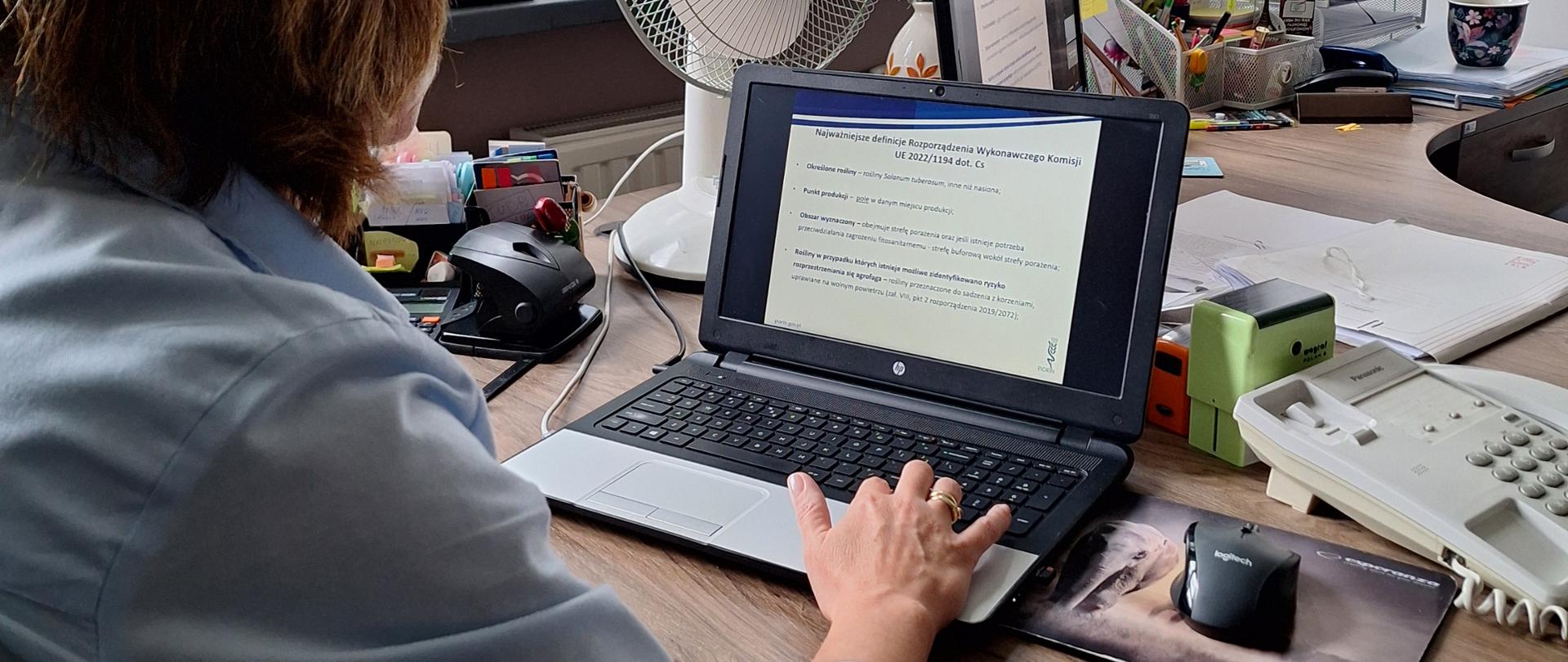 Osoba przeprowadzająca szkolenie przy laptopie