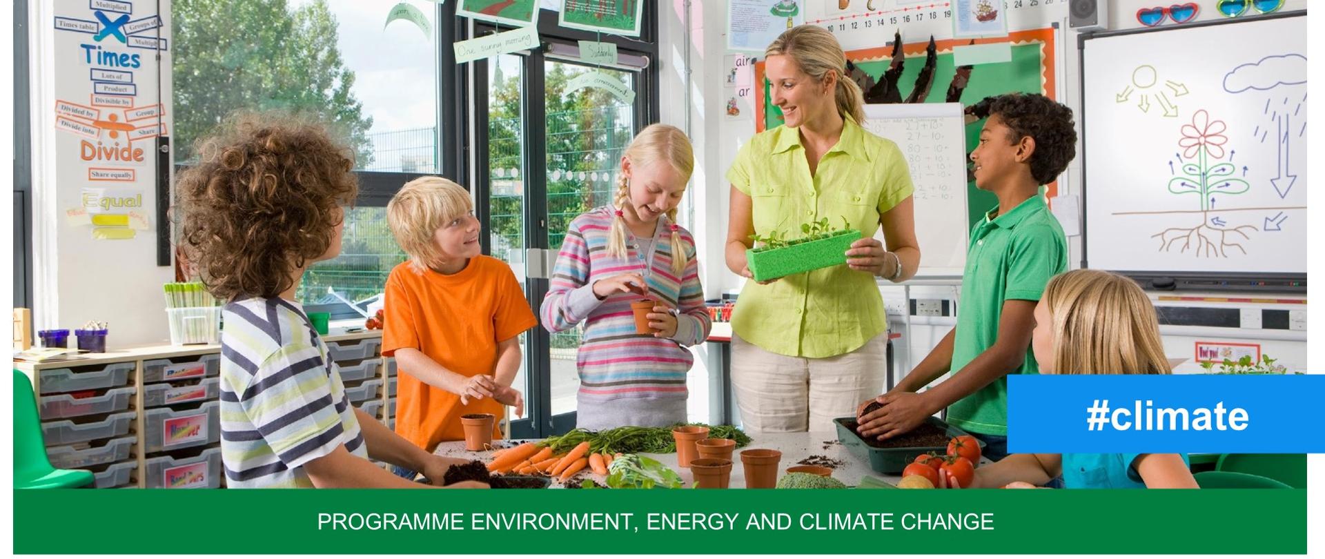Environment, Energy and Climate Change Programme