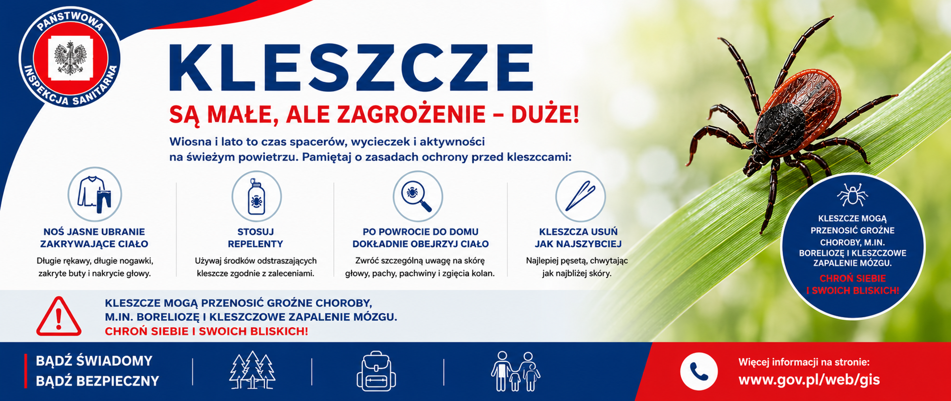 kleszcze